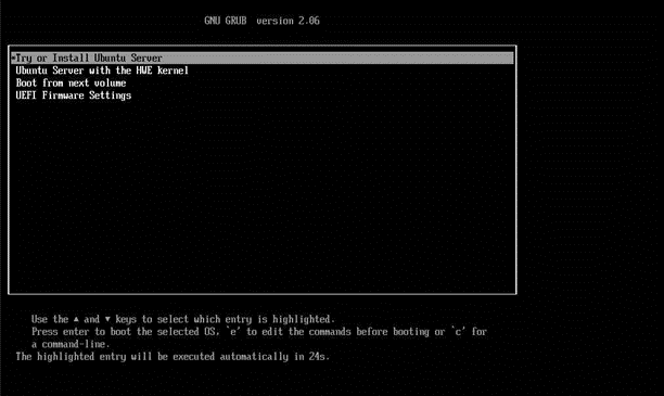OS Install Grub Options