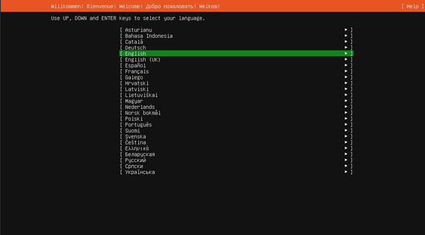 OS Install Language Options